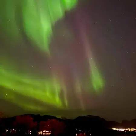 I View I Northern Lights * Tromsø